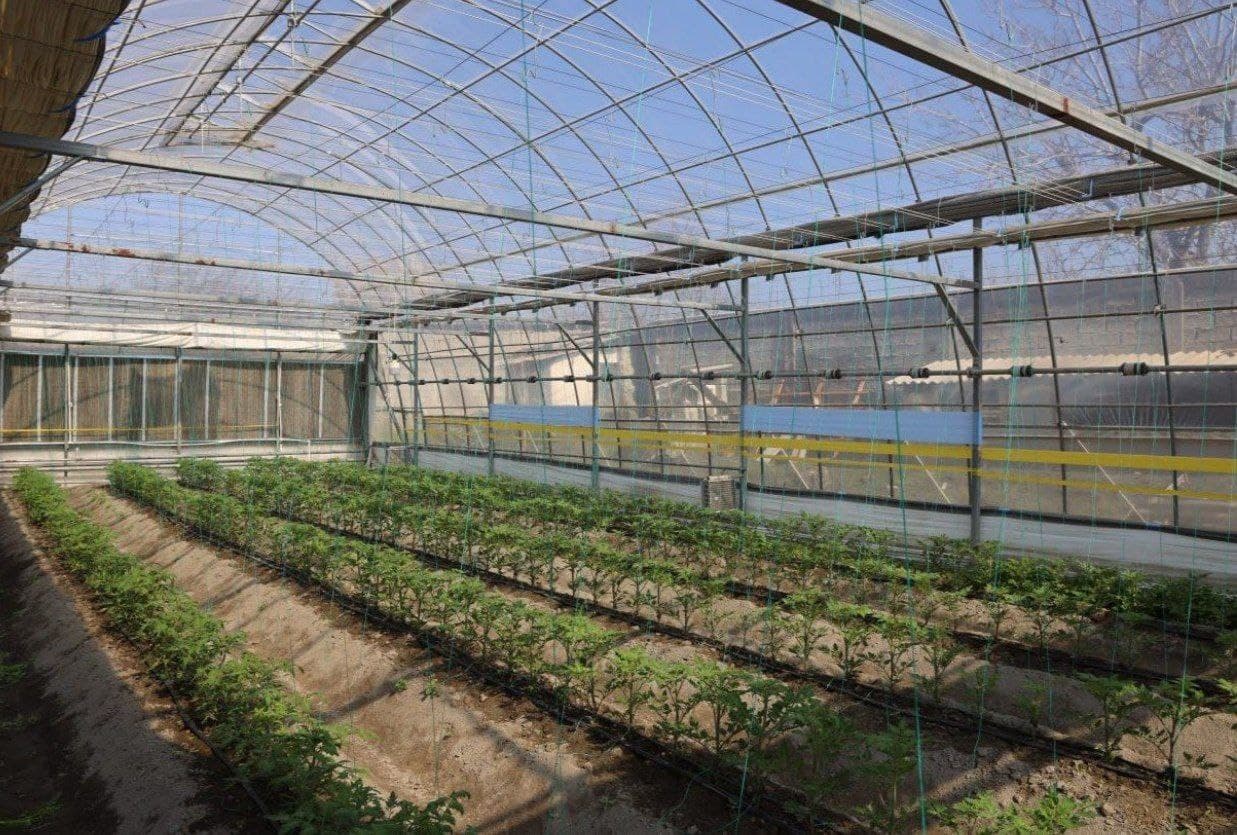 Van Syaolin: Jomboy tajribasini Xitoyda ham ommalashtiramiz