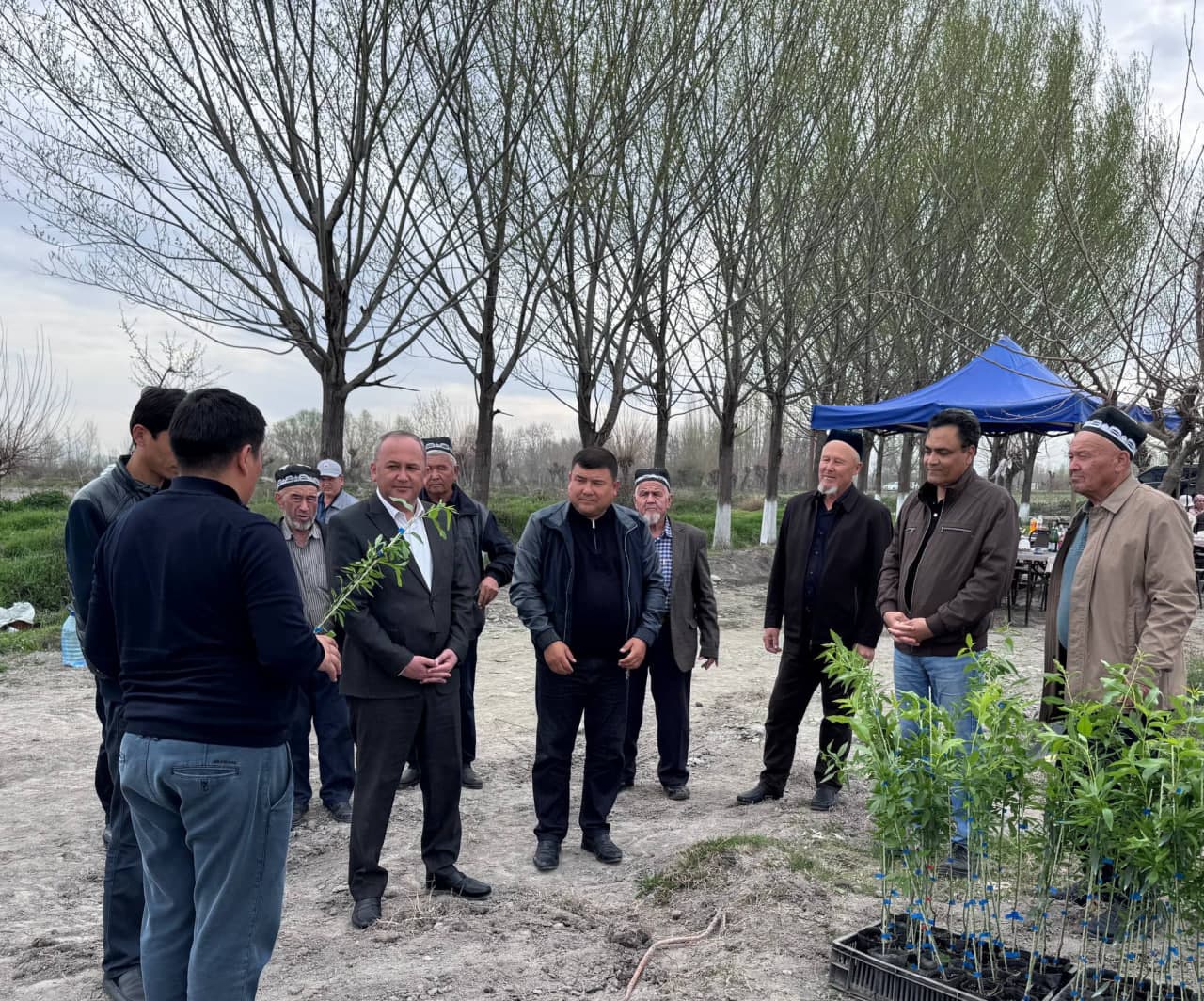 Jomboyda bodom plantatsiyasi barpo etilmoqda