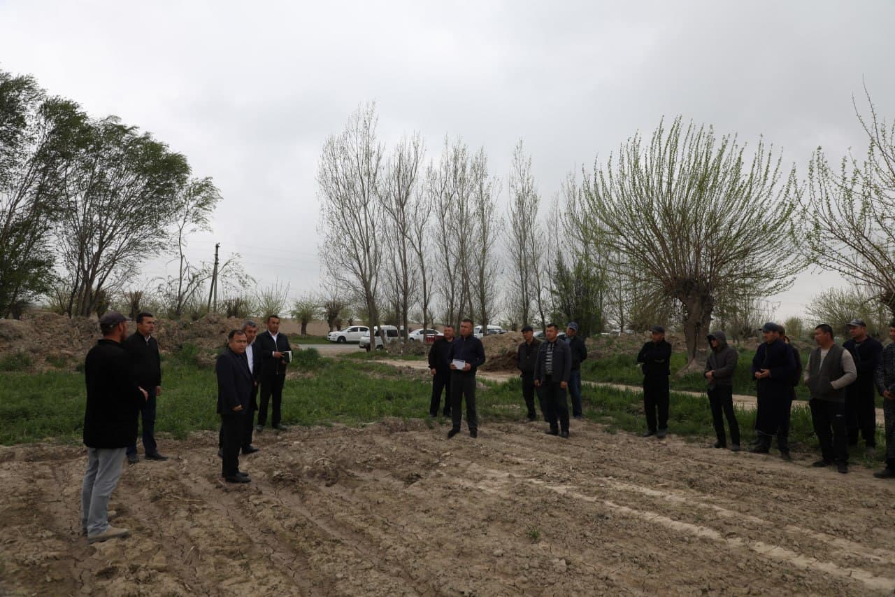 Payshanba – Yoshlar kuni: Nurobodda yer berilgan yoshlar daromad manbaiga ega bo‘lmoqda