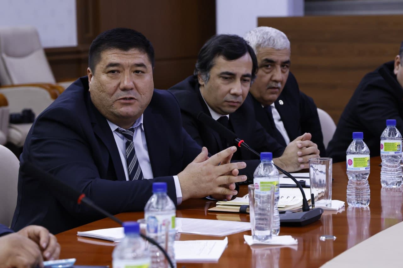 Сенат ҳузуридаги Ёшлар парламенти ташаббуси билан ташкил этилган давра суҳбатида маданият соҳасидаги тўгаракларга ёшларни жалб этишнинг долзарб масалалари муҳокама қилинди