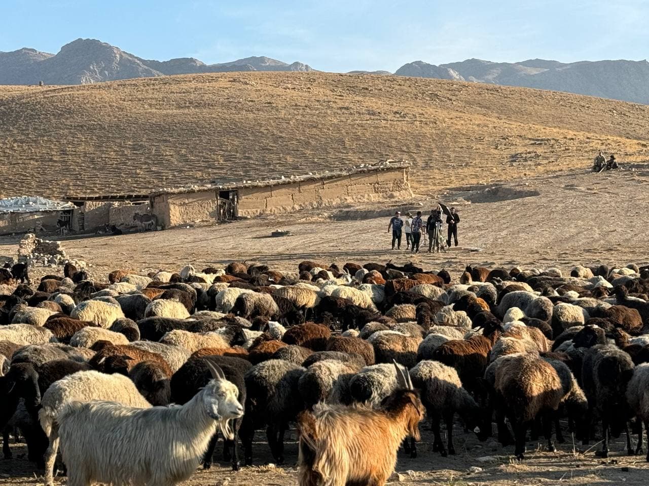 Снимается фильм «Пустыня».