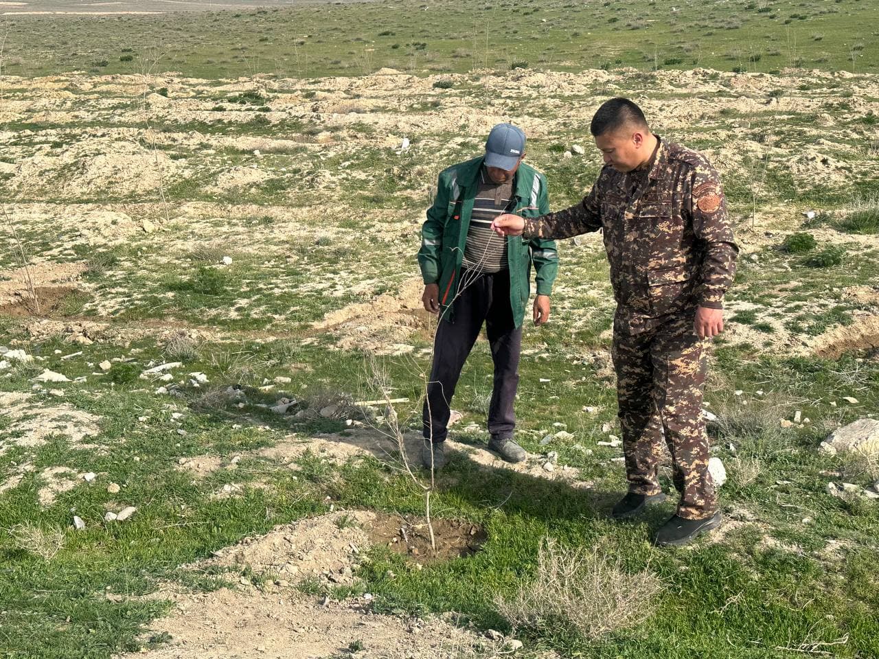 "Green Space" project in practice