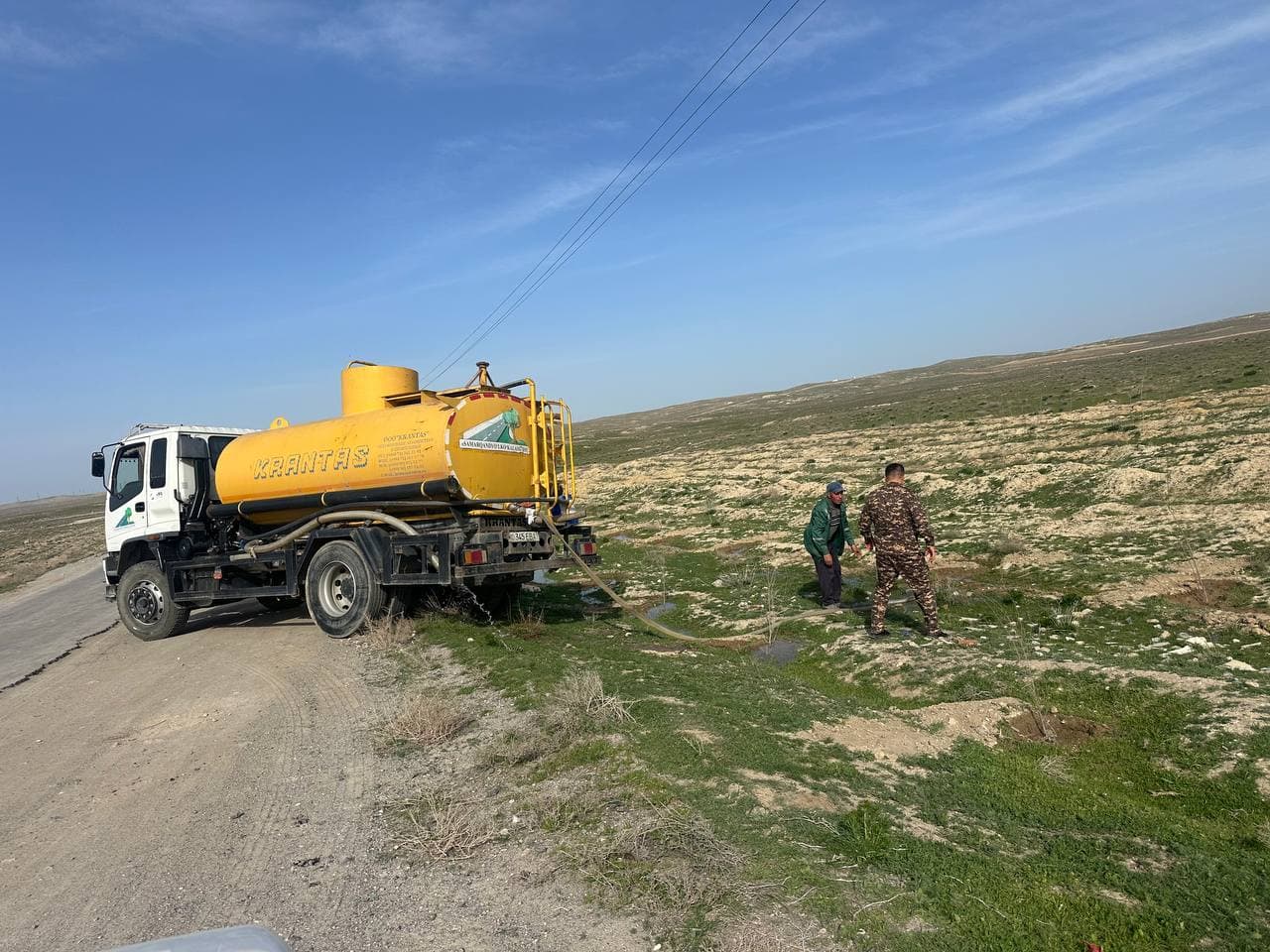 "Green Space" project in practice