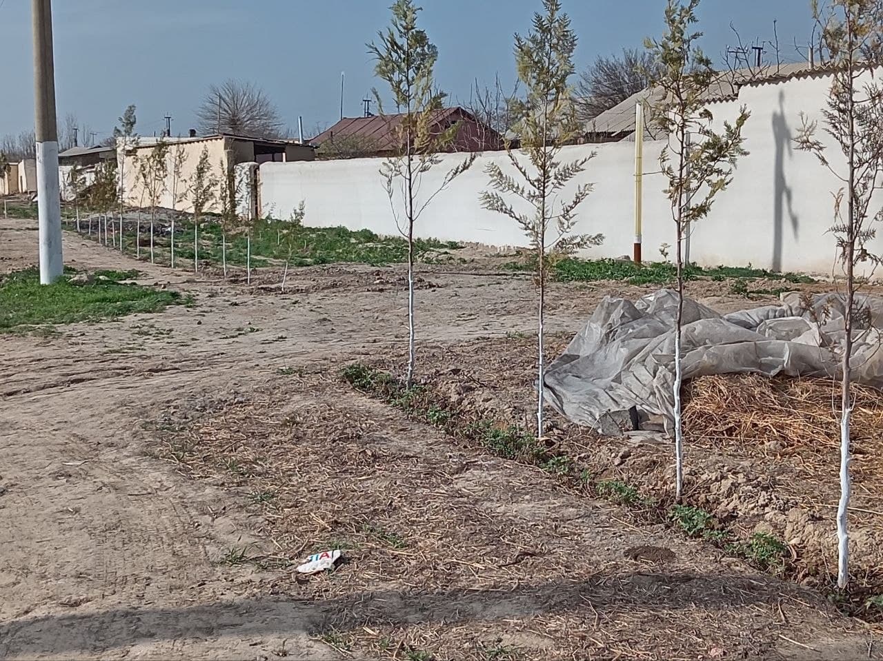 Large-scale construction work continues in Pakhtachi district