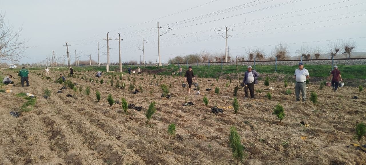 Large-scale construction work continues in Pakhtachi district