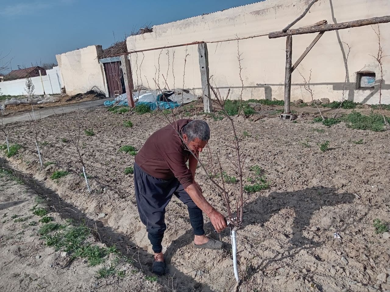 Large-scale construction work continues in Pakhtachi district