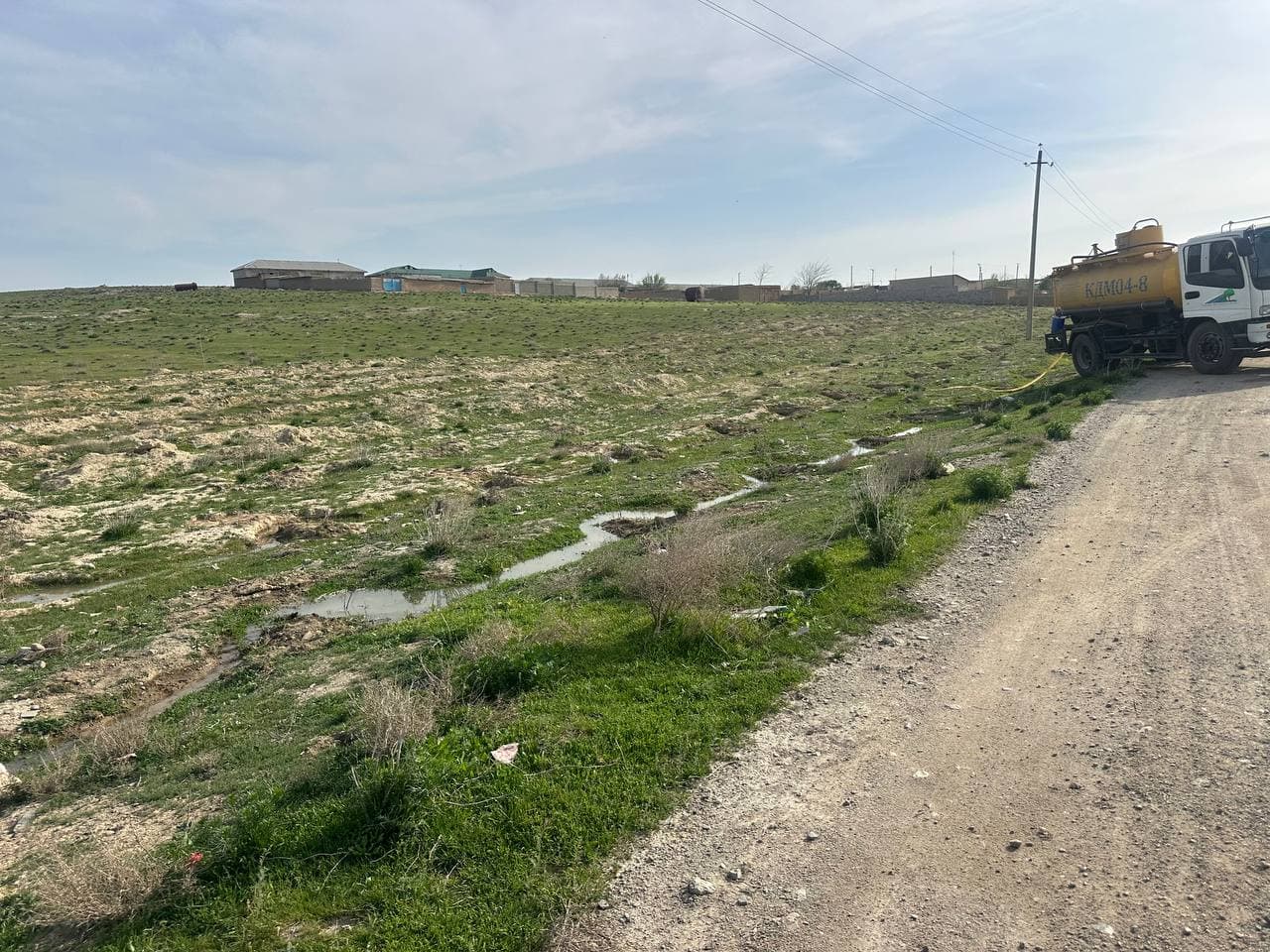 "Green Space" project in practice