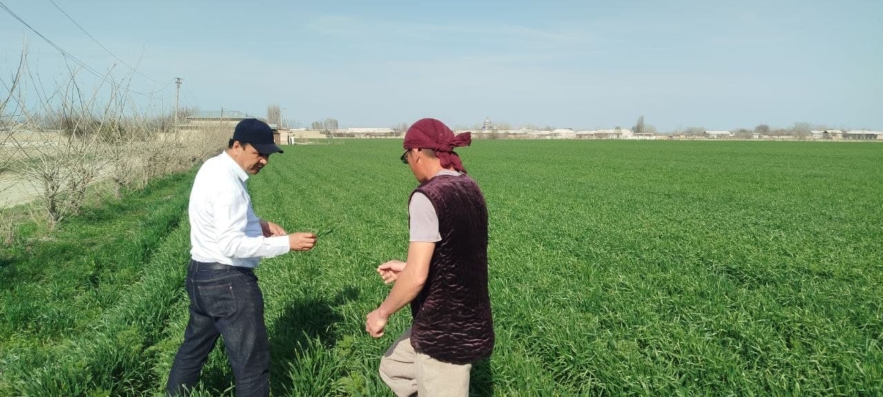 Large-scale construction work continues in Pakhtachi district