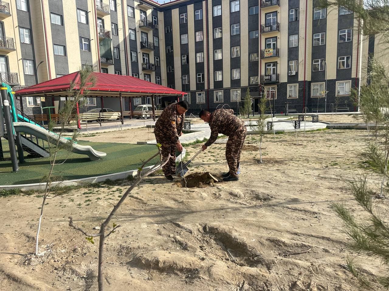 "Green Space" project in practice