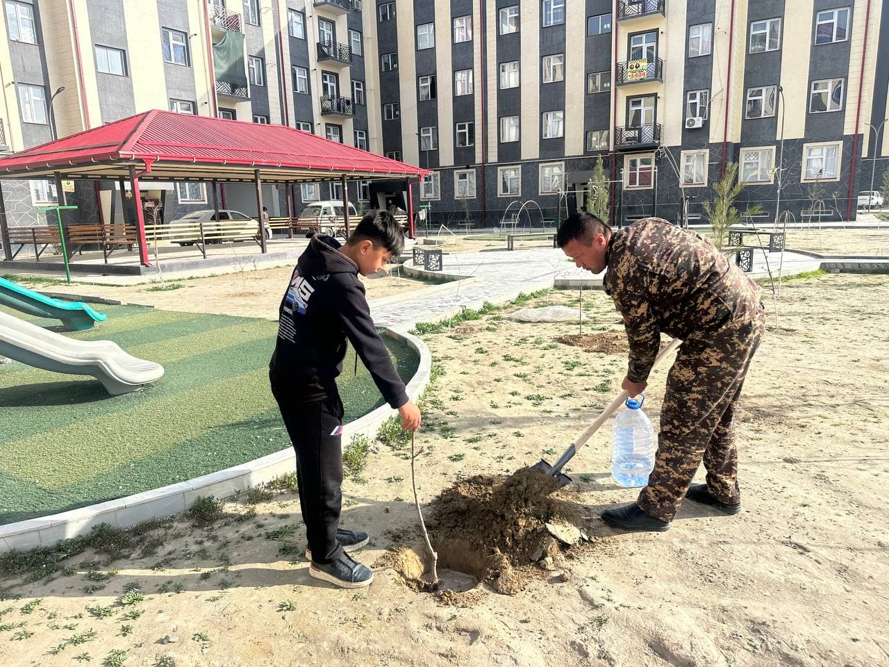 "Green Space" project in practice