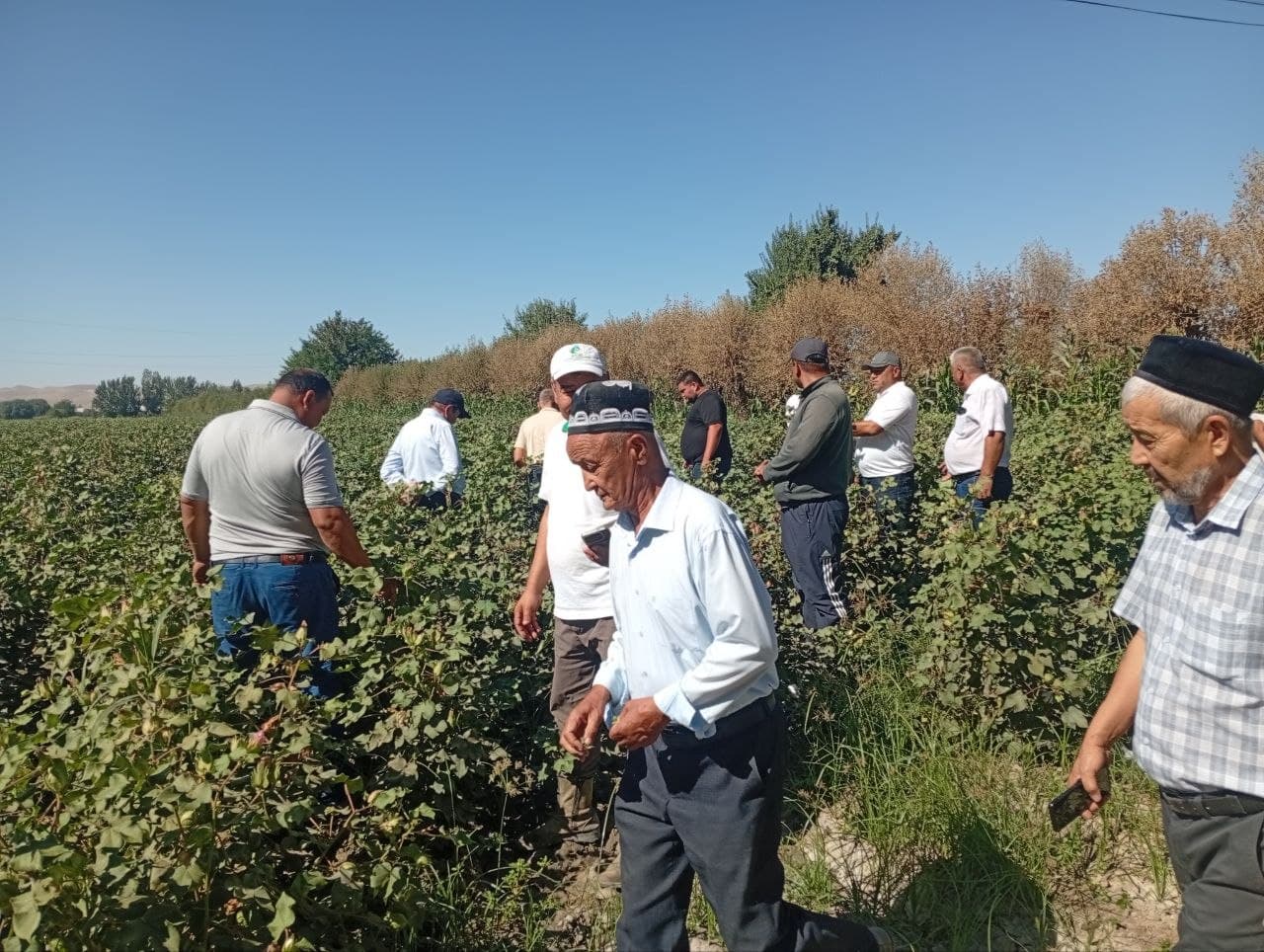 🌱 G‘o‘za maydonlaridagi dolzarb masalalar muhokama qilindi