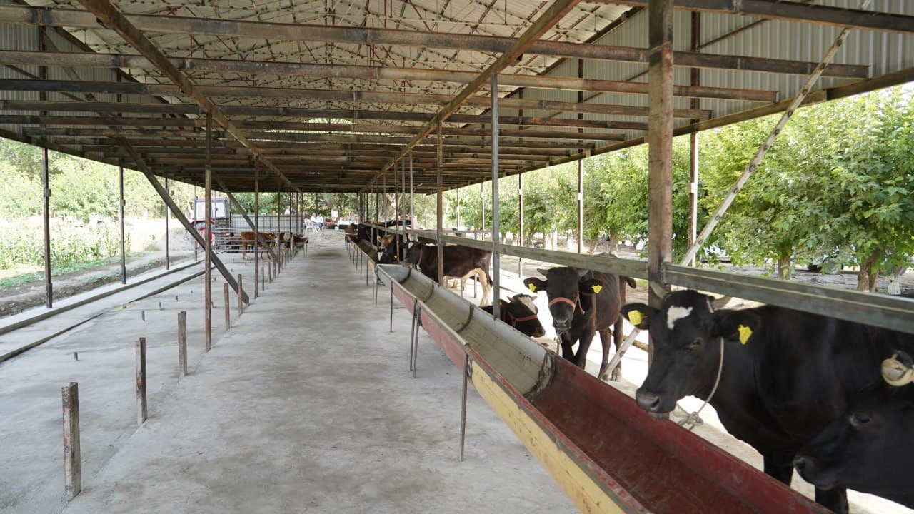 Dala chetlaridan samarali foydalanish — muhim vazifa