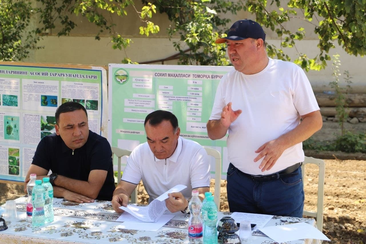 Tomorqa va chorvachilik: qo‘shimcha daromad sari yangi imkoniyatlar