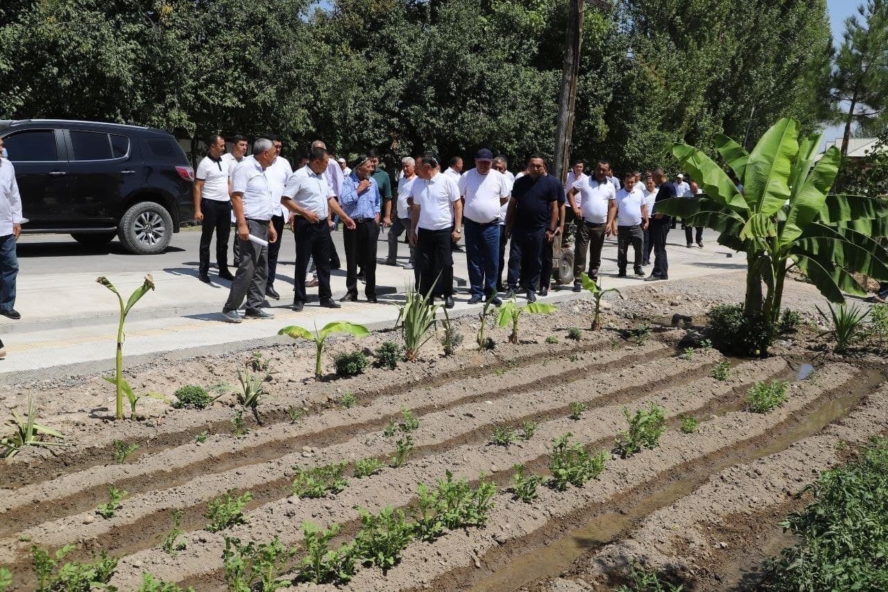 Tomorqa va chorvachilik: qo‘shimcha daromad sari yangi imkoniyatlar