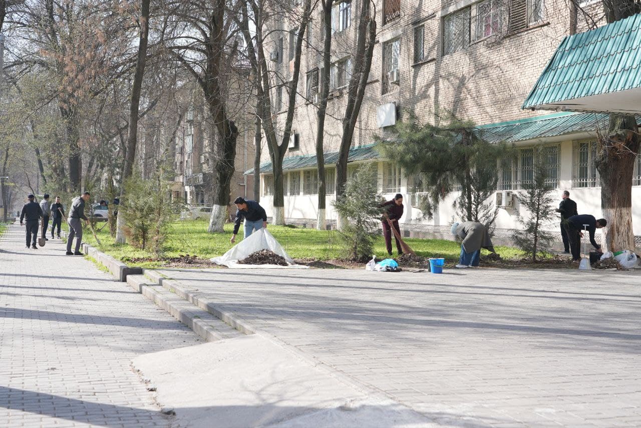 Hashar — elga yarashar