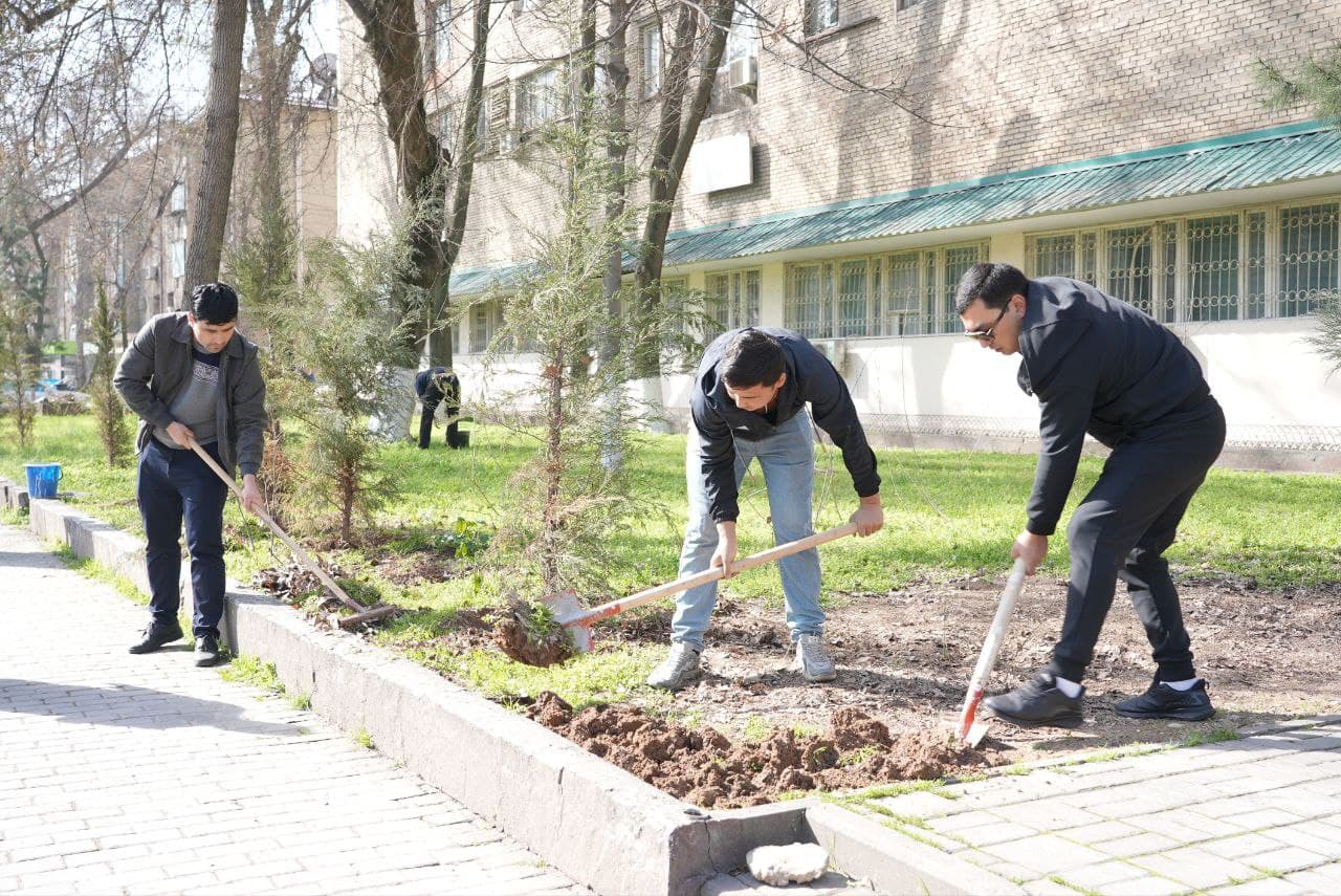 Hashar — elga yarashar