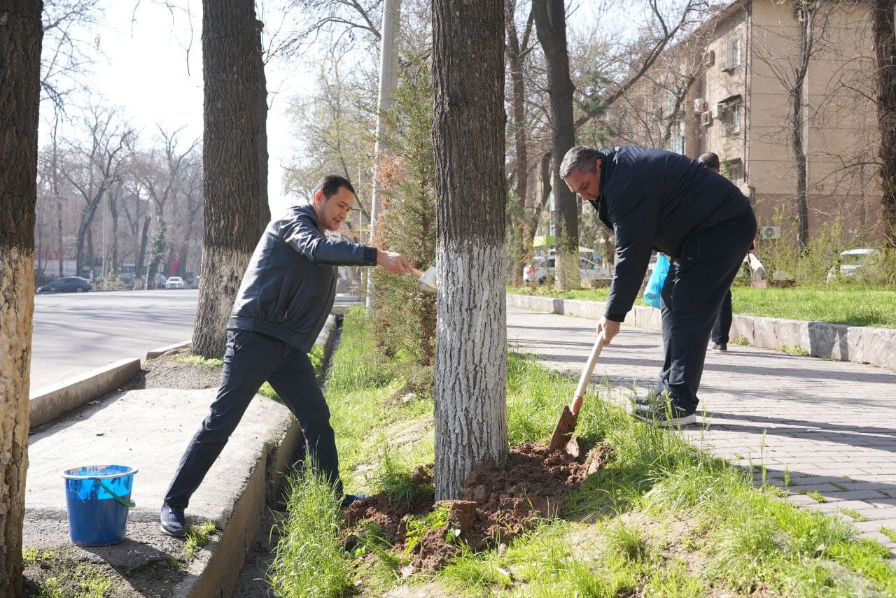 Hashar — elga yarashar