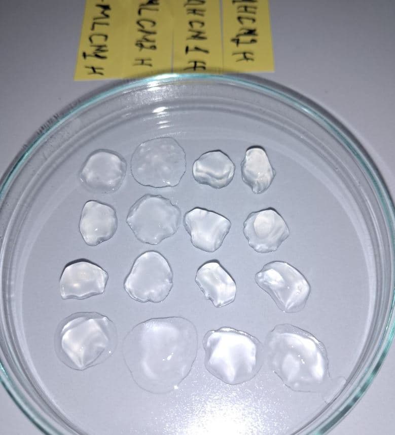 Oʻzbekistonda inson aʼzolarini 3D bioprinterda chop etish imkoniyati yaratilmoqda