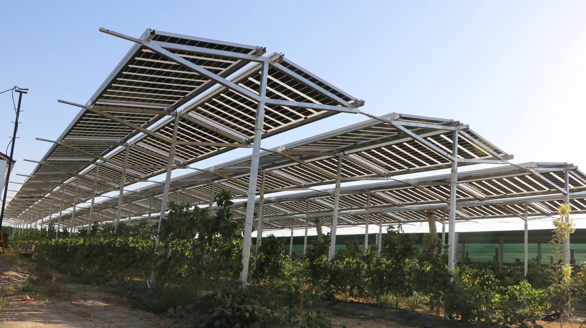 Quyosh energiyasidan samarali foydalanish orqali hosildorlikni 15% gacha oshirish mumkinligini bilasizmi?