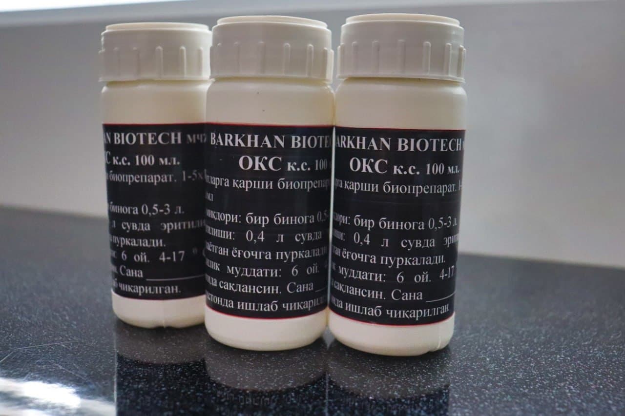 Termitlarga qarshi mahalliy innovatsion yechim: “OKS” biopreparati ishlab chiqarilmoqda
