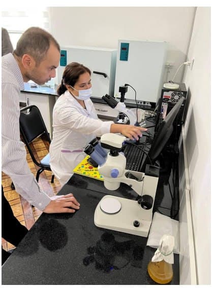Termitlarga qarshi mahalliy innovatsion yechim: “OKS” biopreparati ishlab chiqarilmoqda