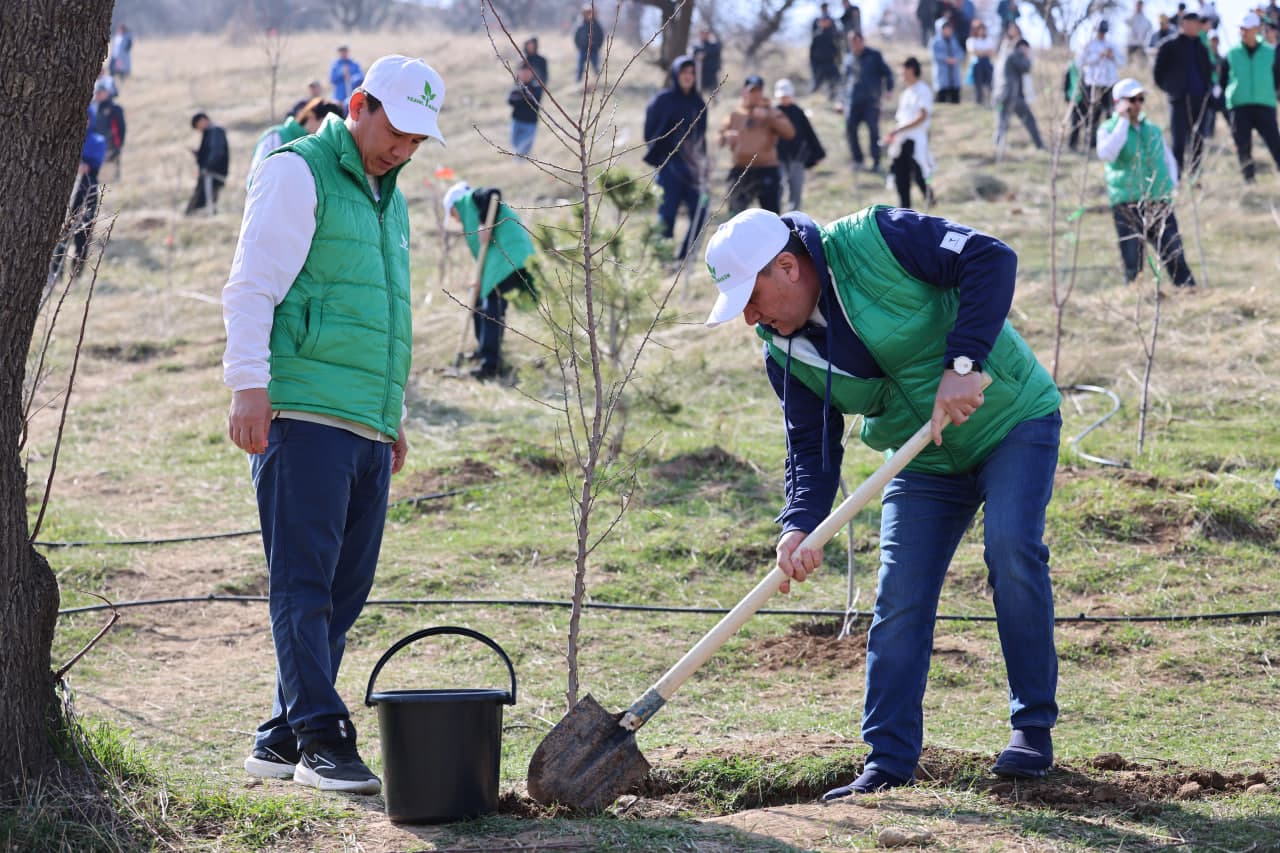 В рамках общенационального проекта «Яшил Макон» прошла массовая озеленительная акция.