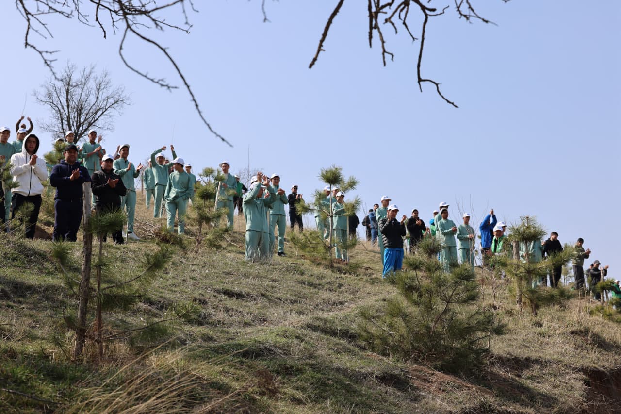 В рамках общенационального проекта «Яшил Макон» прошла массовая озеленительная акция.