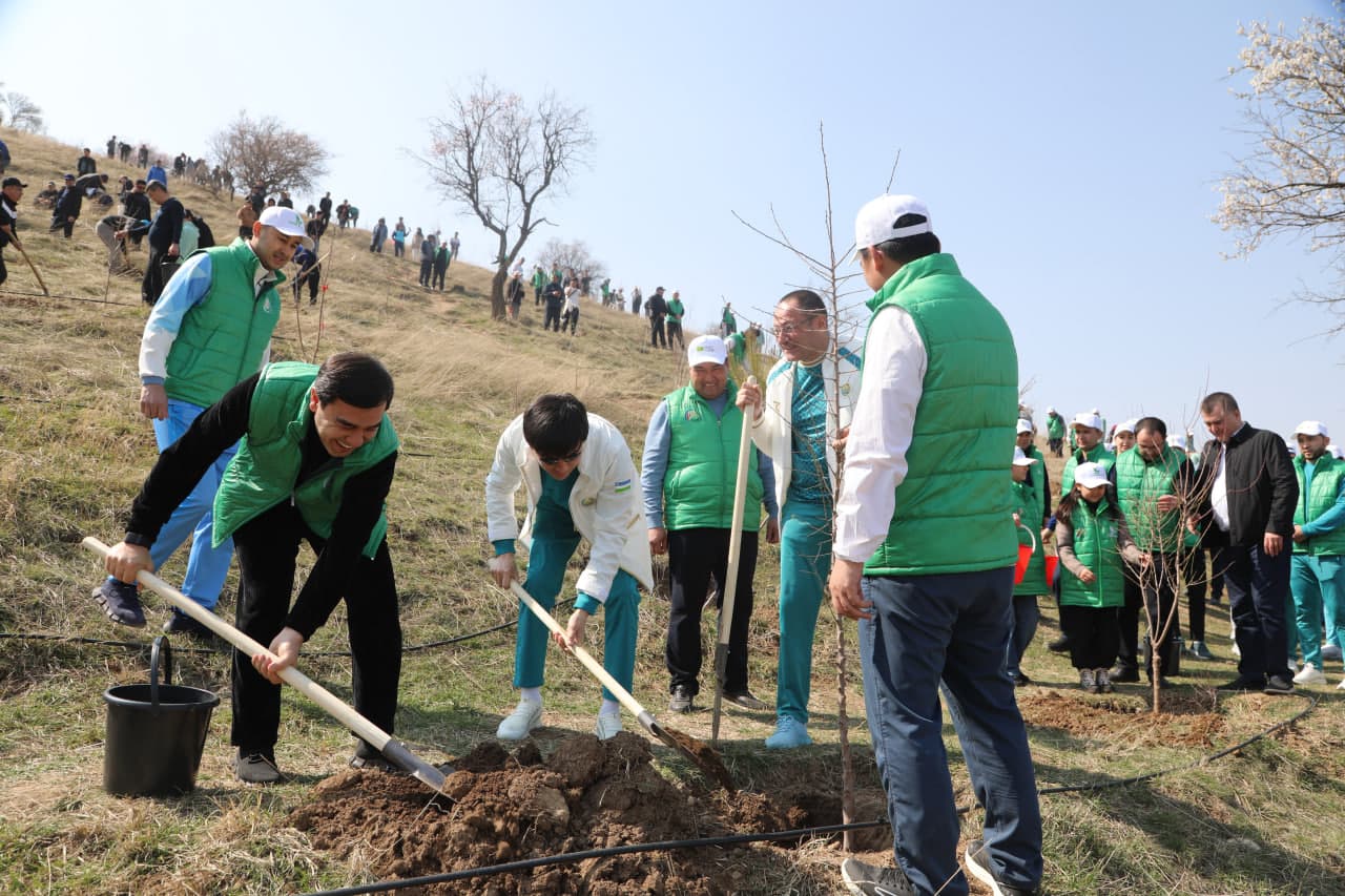 В рамках общенационального проекта «Яшил Макон» прошла массовая озеленительная акция.