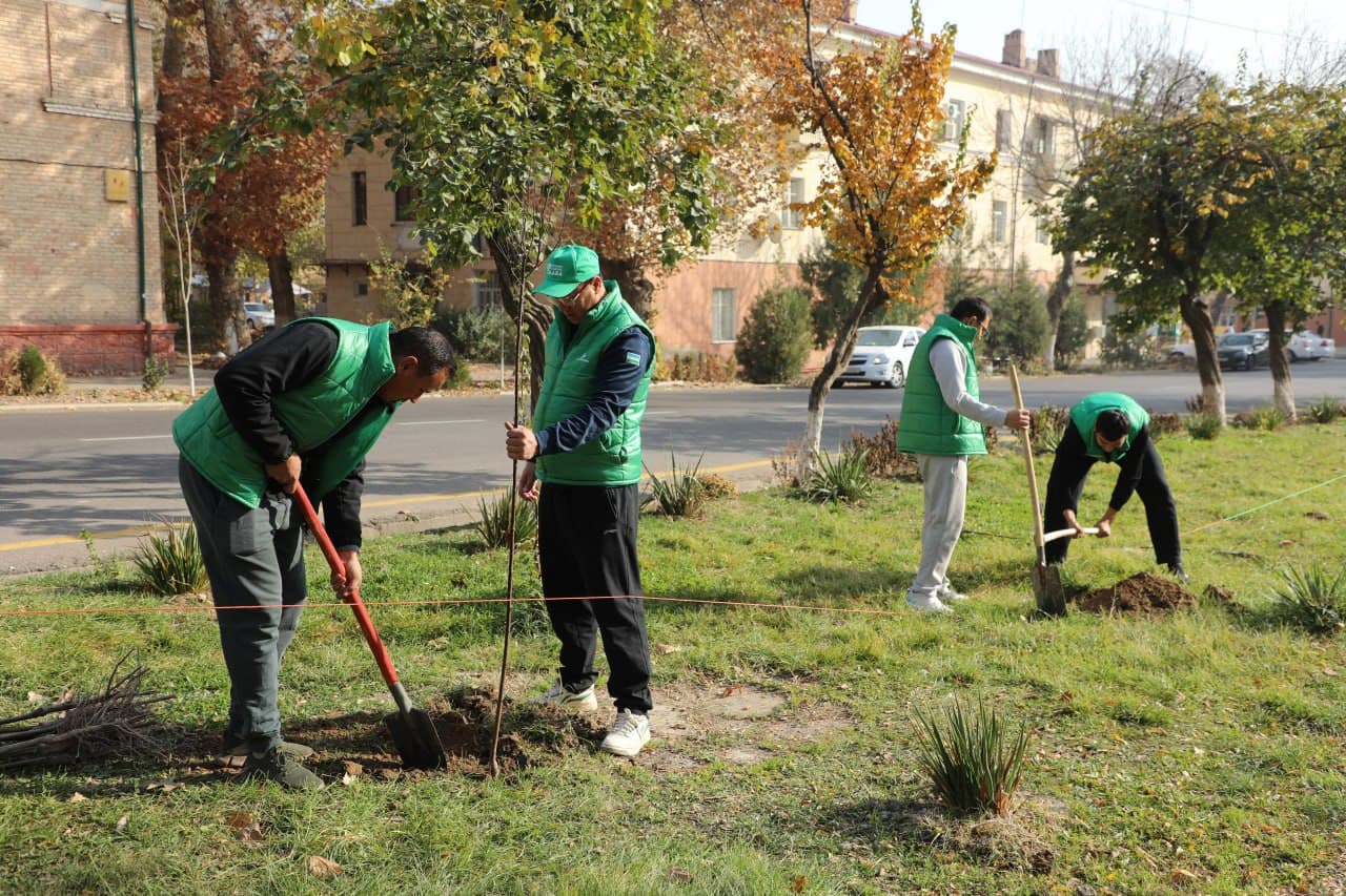 Yashil kelajak sari: navbatdagi ko‘chat ekish aksiyasi