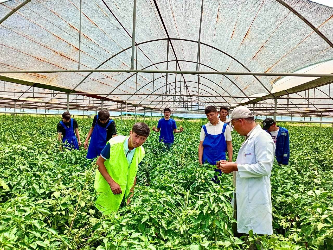 PRESS-TUR TASHKIL ETILDI