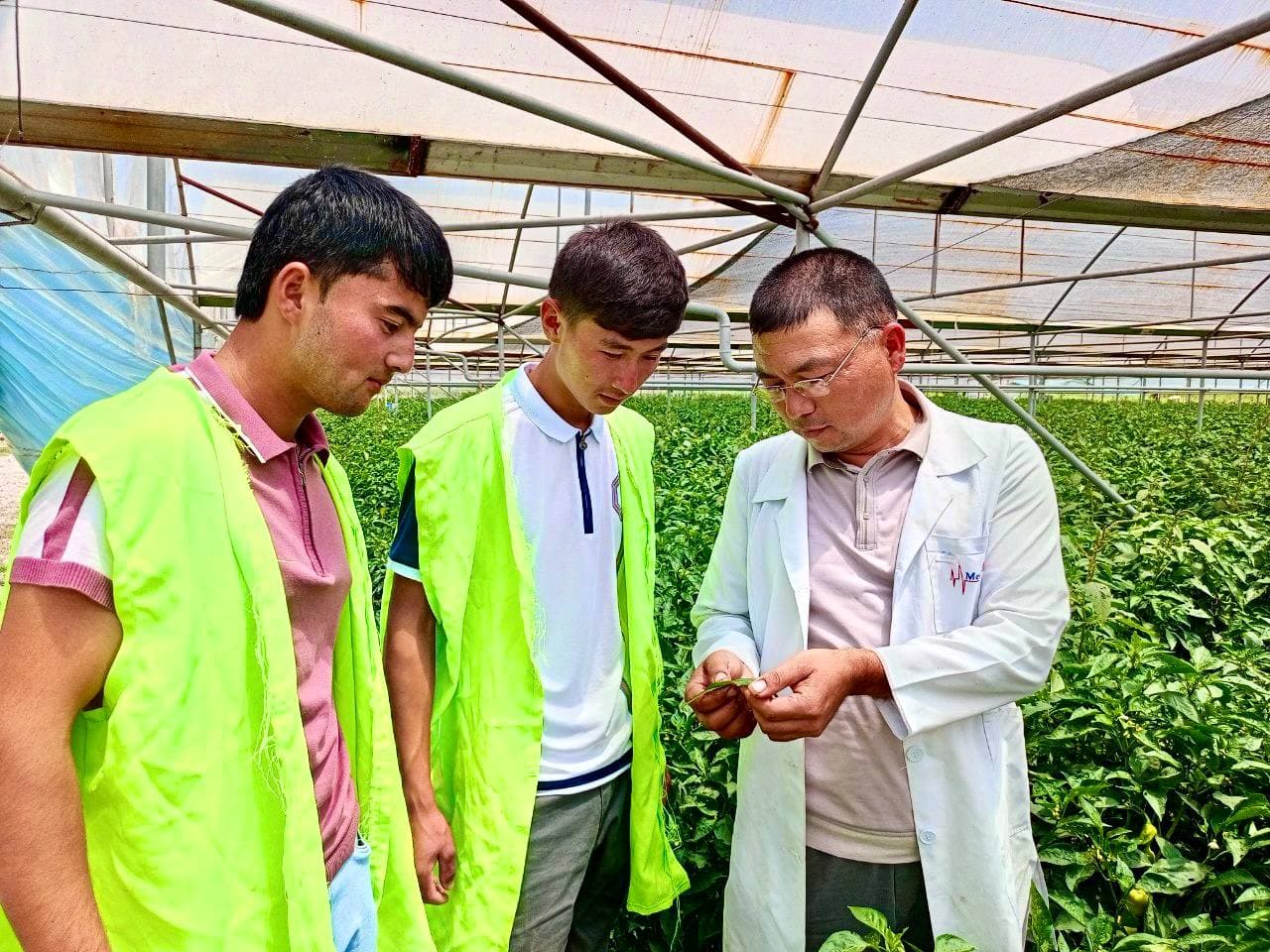 PRESS-TUR TASHKIL ETILDI