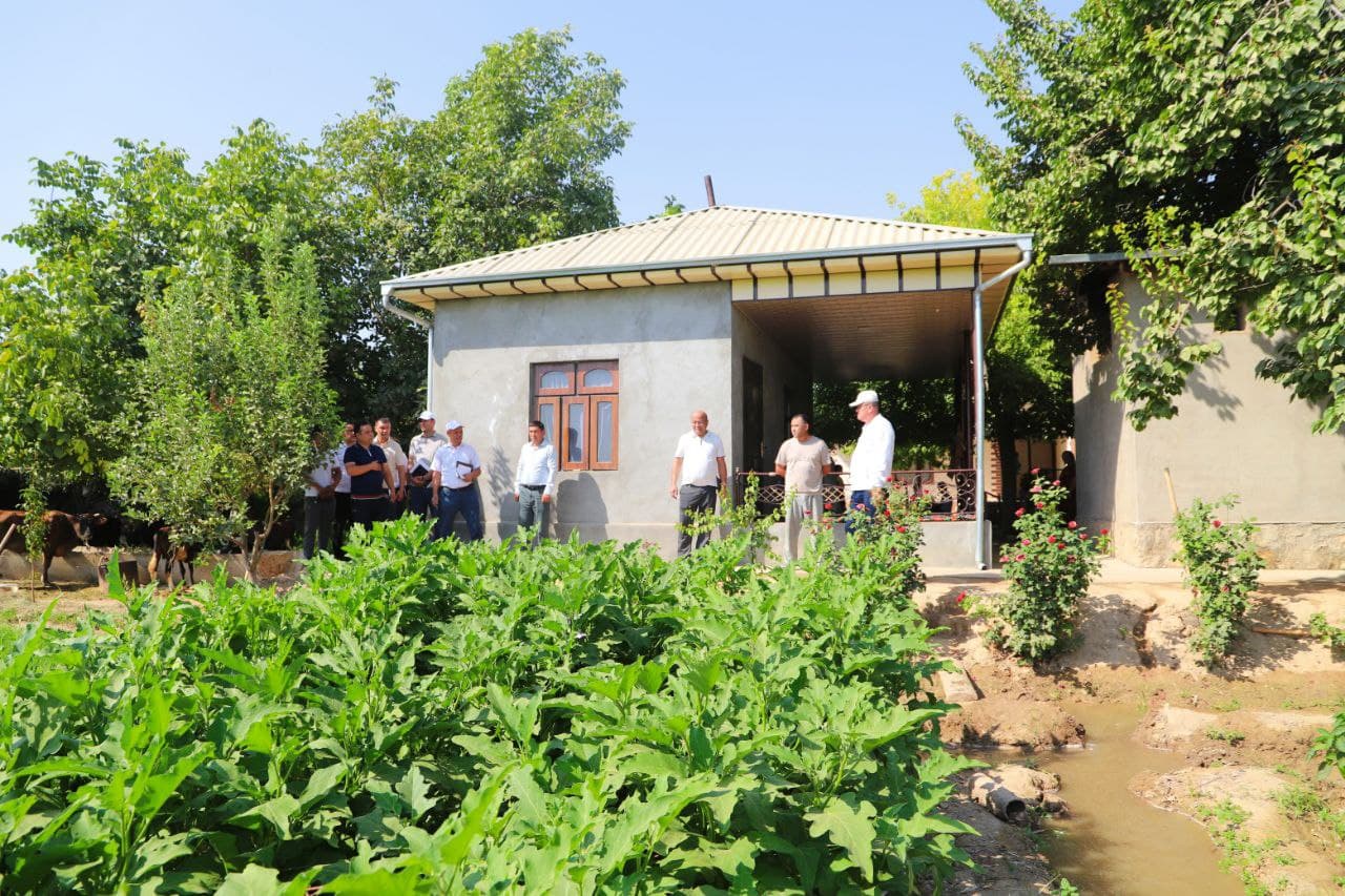 Bandixondagi har bir mahalla obod go'shaga aylanadi