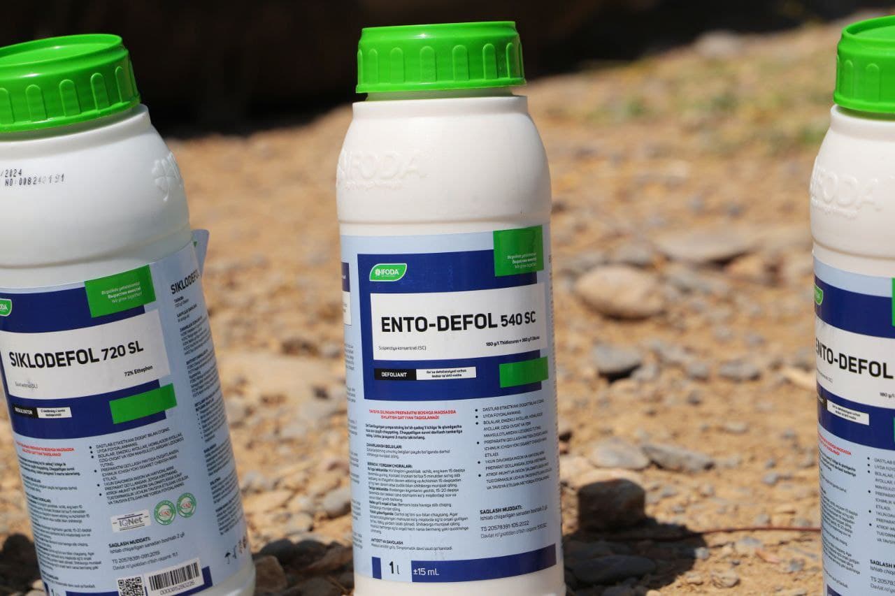 Bandixon tumanida go'zaga ishlov berishda defoliatsiya ishlari boshlab yuborildi