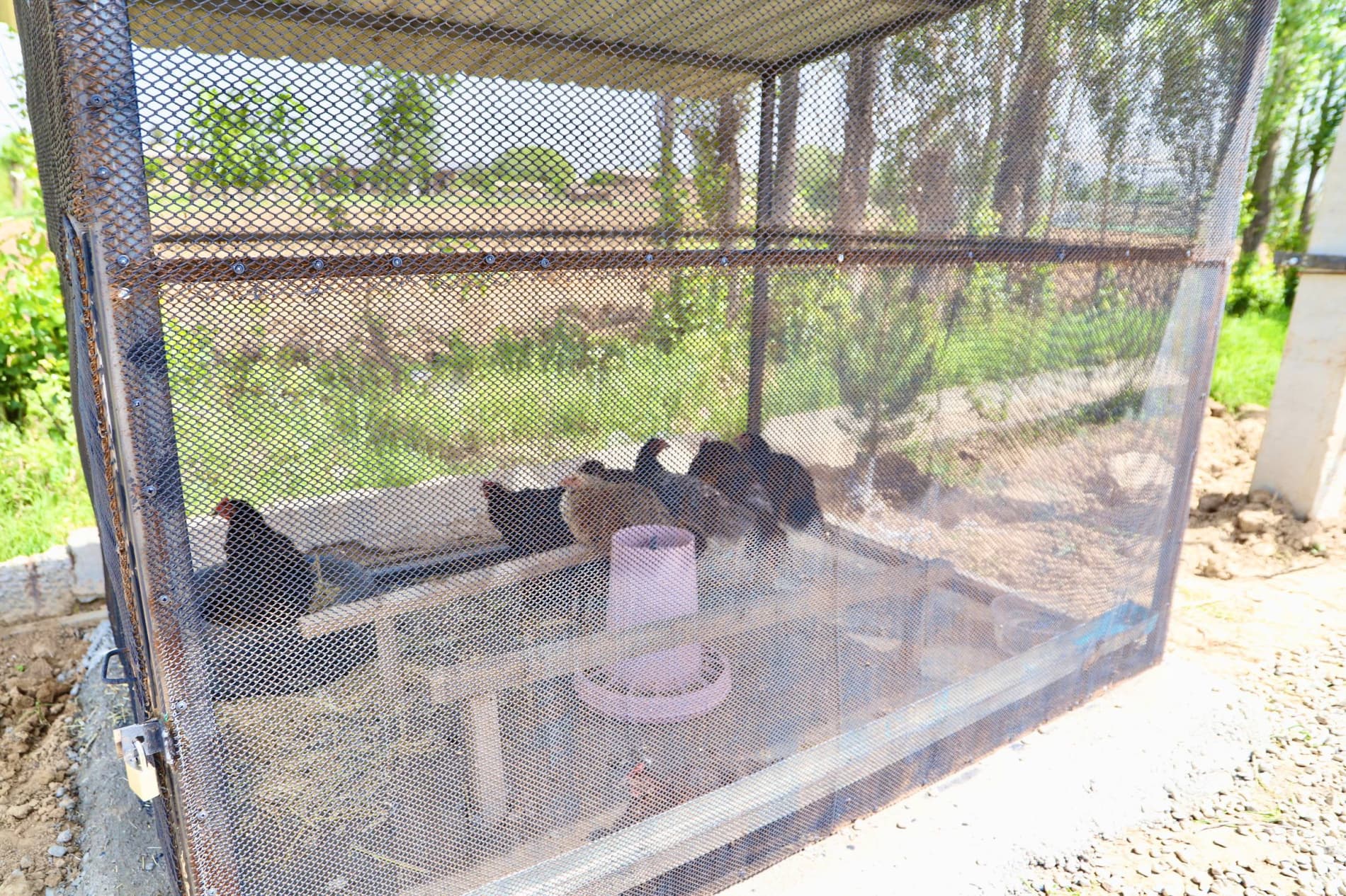 Bandixonda qishloq xo‘jaligi sohasida samaradorlikni oshirish, hosildorlikni ko‘paytirish hamda kelgusi mavsumga puxta tayyorgarlik ko‘rish borasidagi ishlar holati o'rganildi