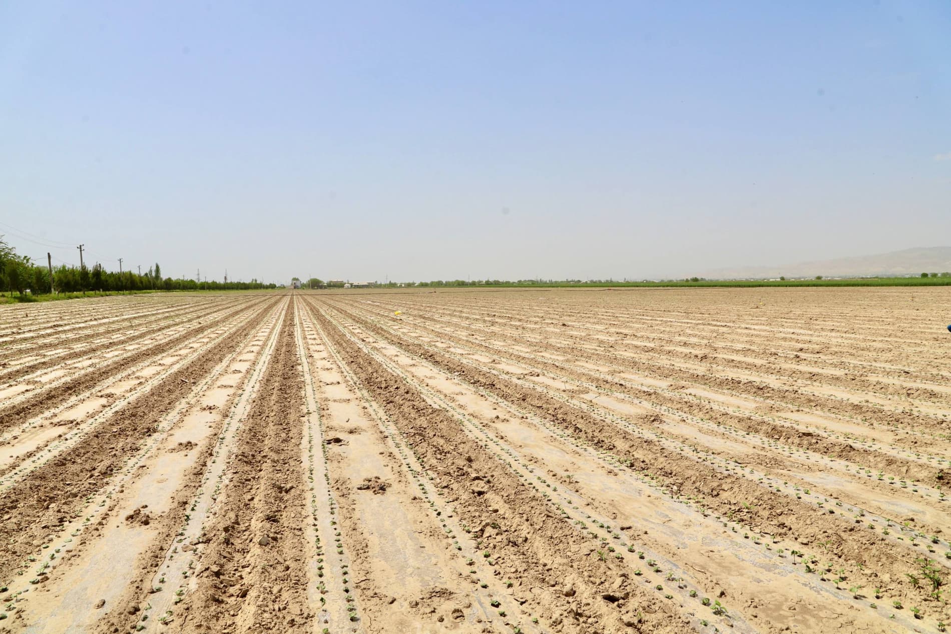 Bandixonda qishloq xo‘jaligi sohasida samaradorlikni oshirish, hosildorlikni ko‘paytirish hamda kelgusi mavsumga puxta tayyorgarlik ko‘rish borasidagi ishlar holati o'rganildi