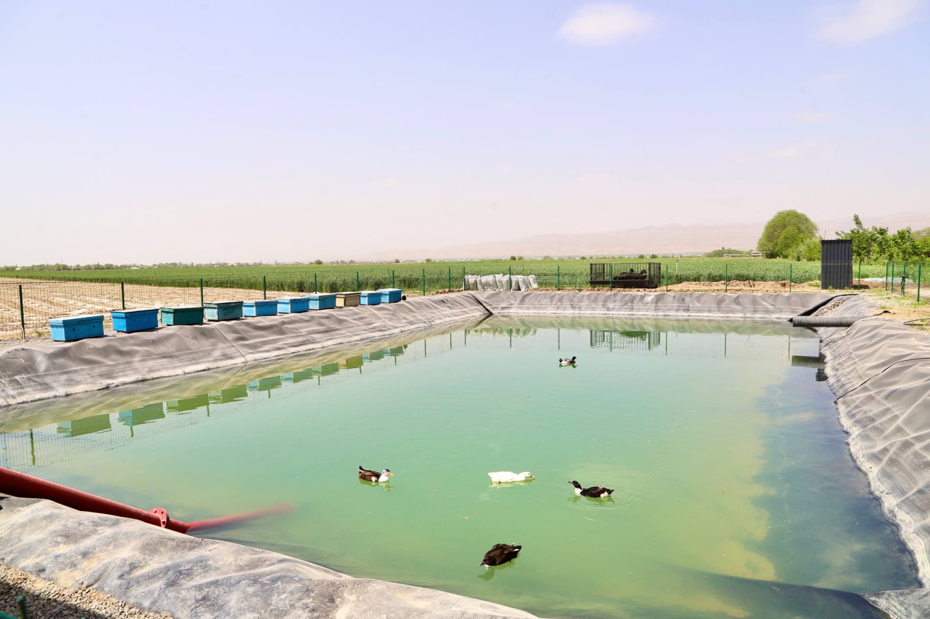 Bandixonda qishloq xo‘jaligi sohasida samaradorlikni oshirish, hosildorlikni ko‘paytirish hamda kelgusi mavsumga puxta tayyorgarlik ko‘rish borasidagi ishlar holati o'rganildi