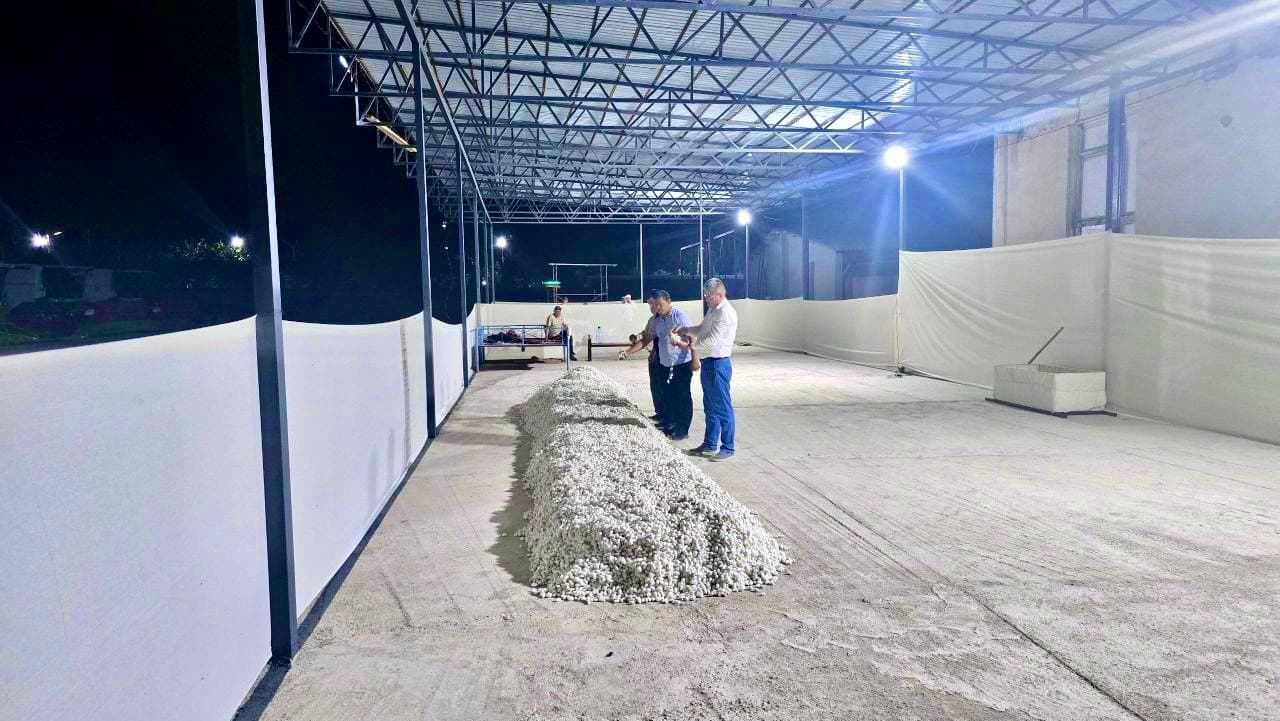 Bandixonda pilla mavsumi qizg‘in davom etmoqda!