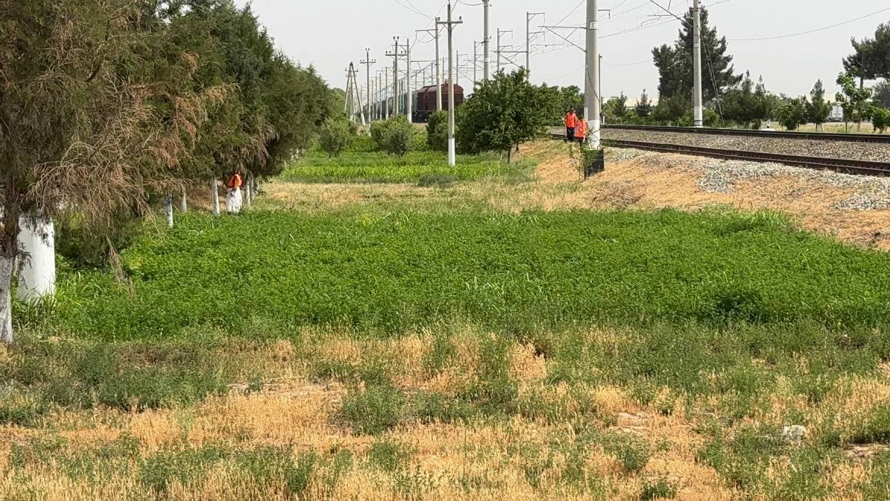 Jarqo‘rg‘onda obodonlashtirish ishlari qizg‘in davom etmoqda