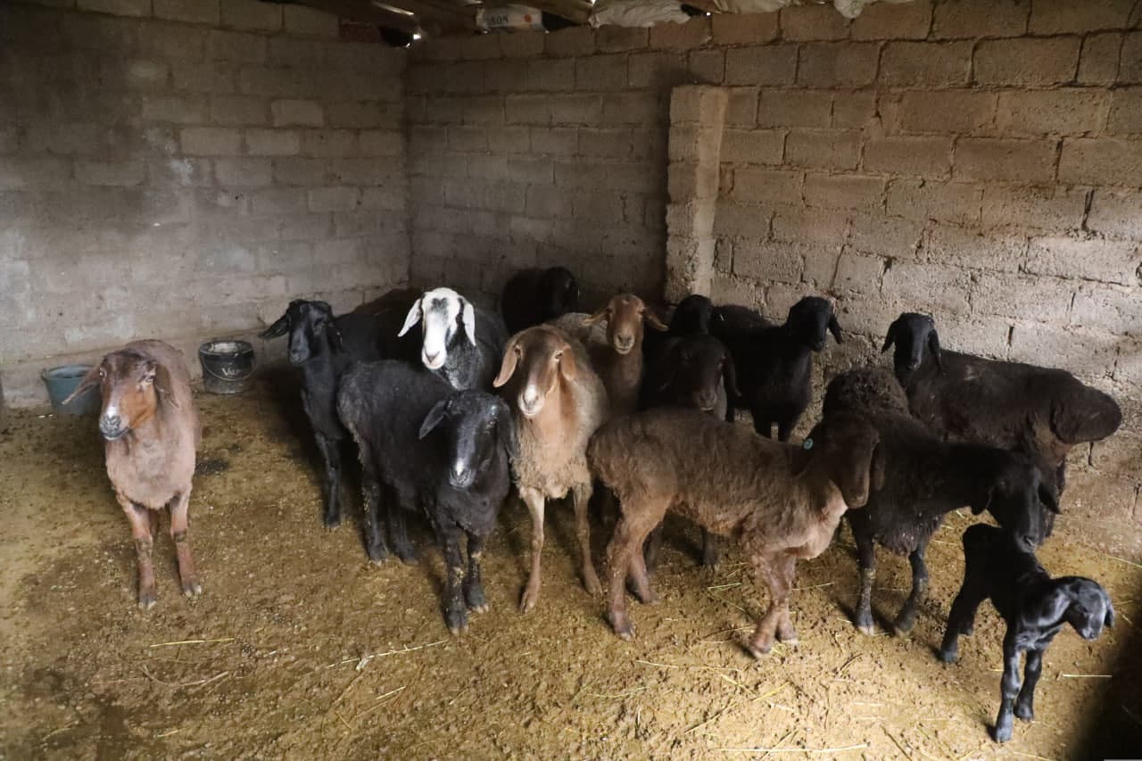 Ҳудудларга ташриф - Янгиҳаёт маҳалласи