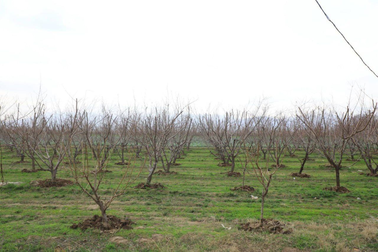 Qishloq xo‘jaligi sohadagi vazifalar ijrosi o‘rganildi
