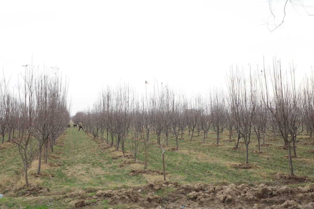 Qishloq xo‘jaligi sohadagi vazifalar ijrosi o‘rganildi
