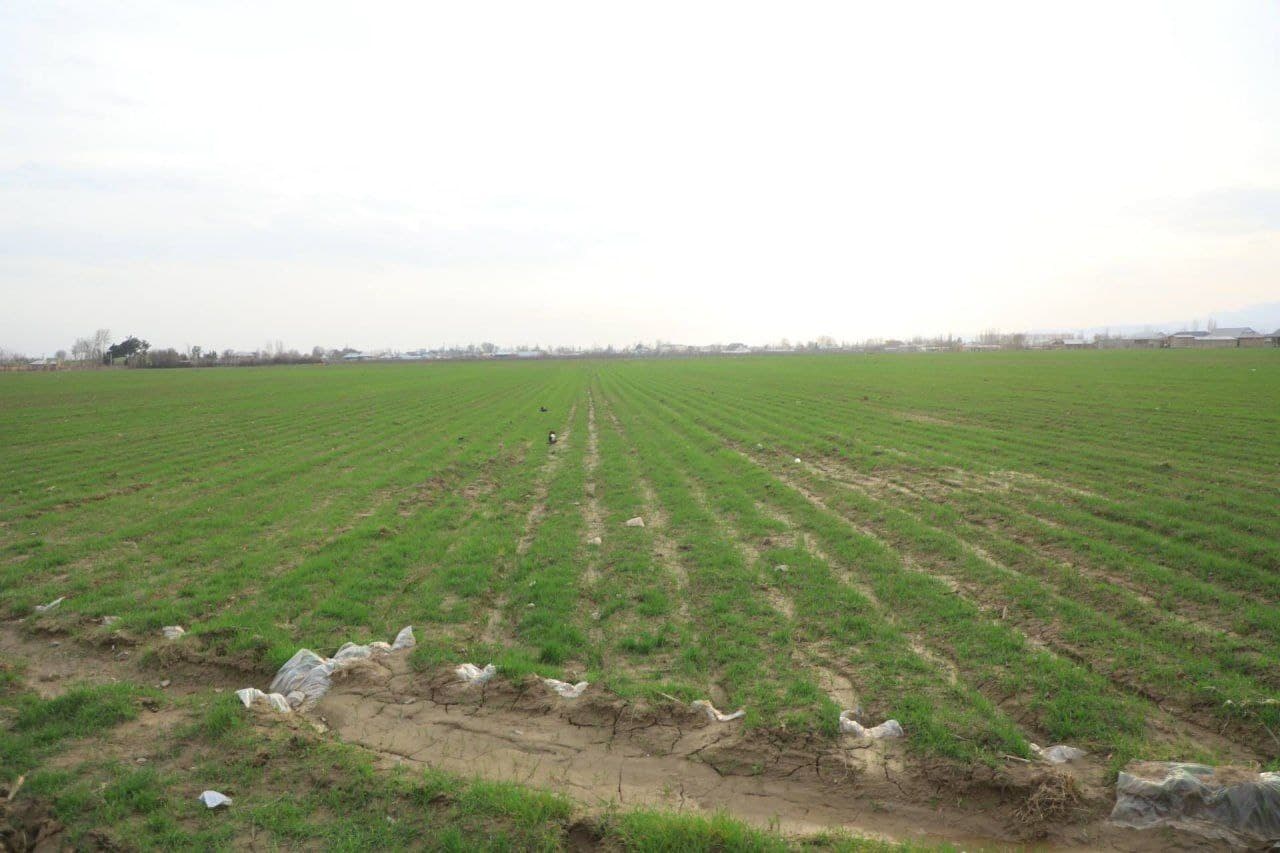 Qishloq xo‘jaligi sohadagi vazifalar ijrosi o‘rganildi