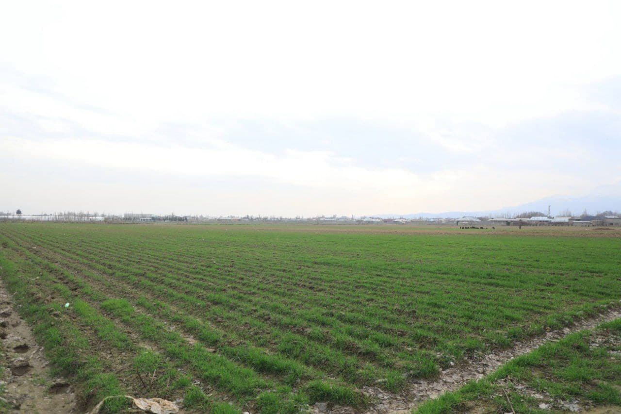 Qishloq xo‘jaligi sohadagi vazifalar ijrosi o‘rganildi