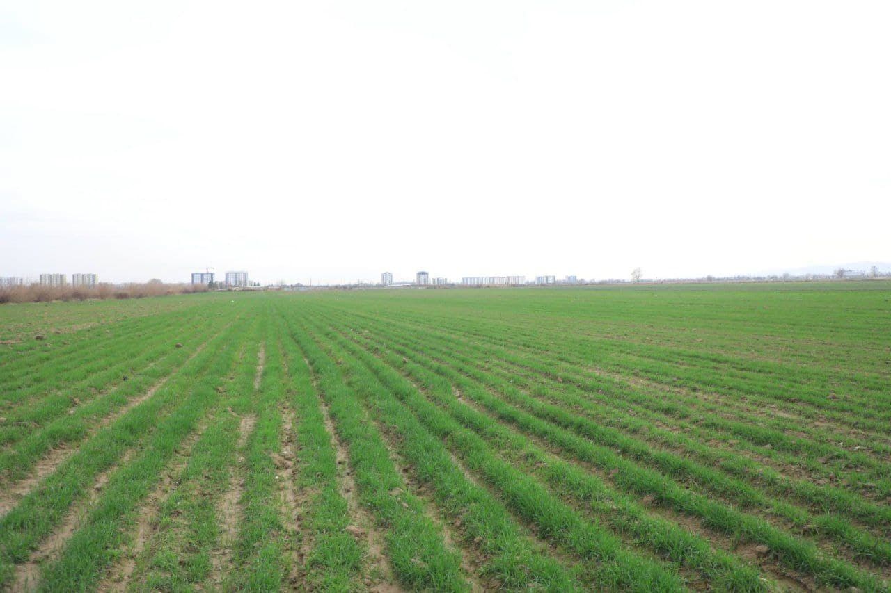 Qishloq xo‘jaligi sohadagi vazifalar ijrosi o‘rganildi