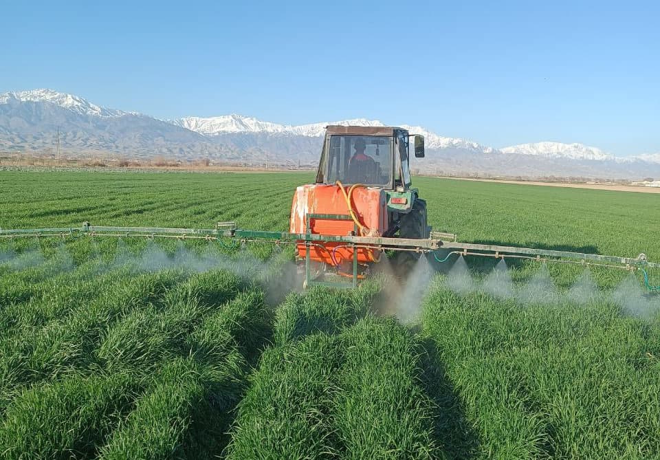 Qishloq va suv xo‘jaligi sohasidagi agrotexnik tadbirlar izchil amalga oshirilmoqda