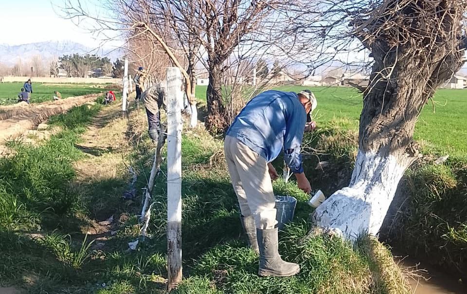Qishloq va suv xo‘jaligi sohasidagi agrotexnik tadbirlar izchil amalga oshirilmoqda
