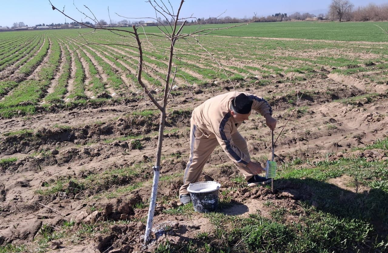 Qishloq va suv xo‘jaligi sohasidagi agrotexnik tadbirlar izchil amalga oshirilmoqda
