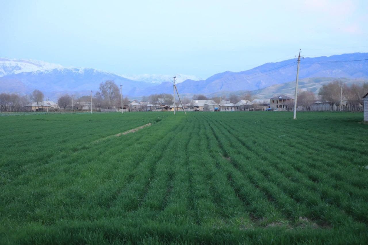 Қишлоқ ва сув хўжалигидаги вазифалар муҳокама қилинди