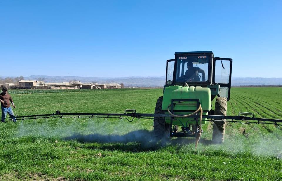Qishloq va suv xo‘jaligi sohasidagi agrotexnik tadbirlar izchil amalga oshirilmoqda