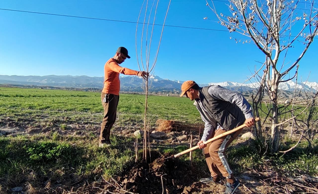Qishloq va suv xo‘jaligi sohasidagi agrotexnik tadbirlar izchil amalga oshirilmoqda